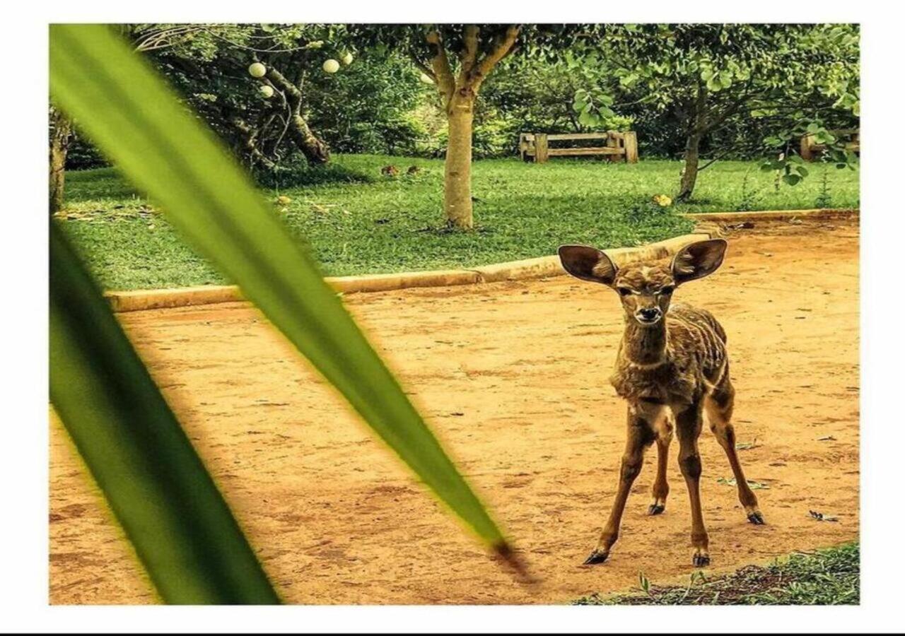 Oldonyo Orok Lodge Kajiado Bagian luar foto