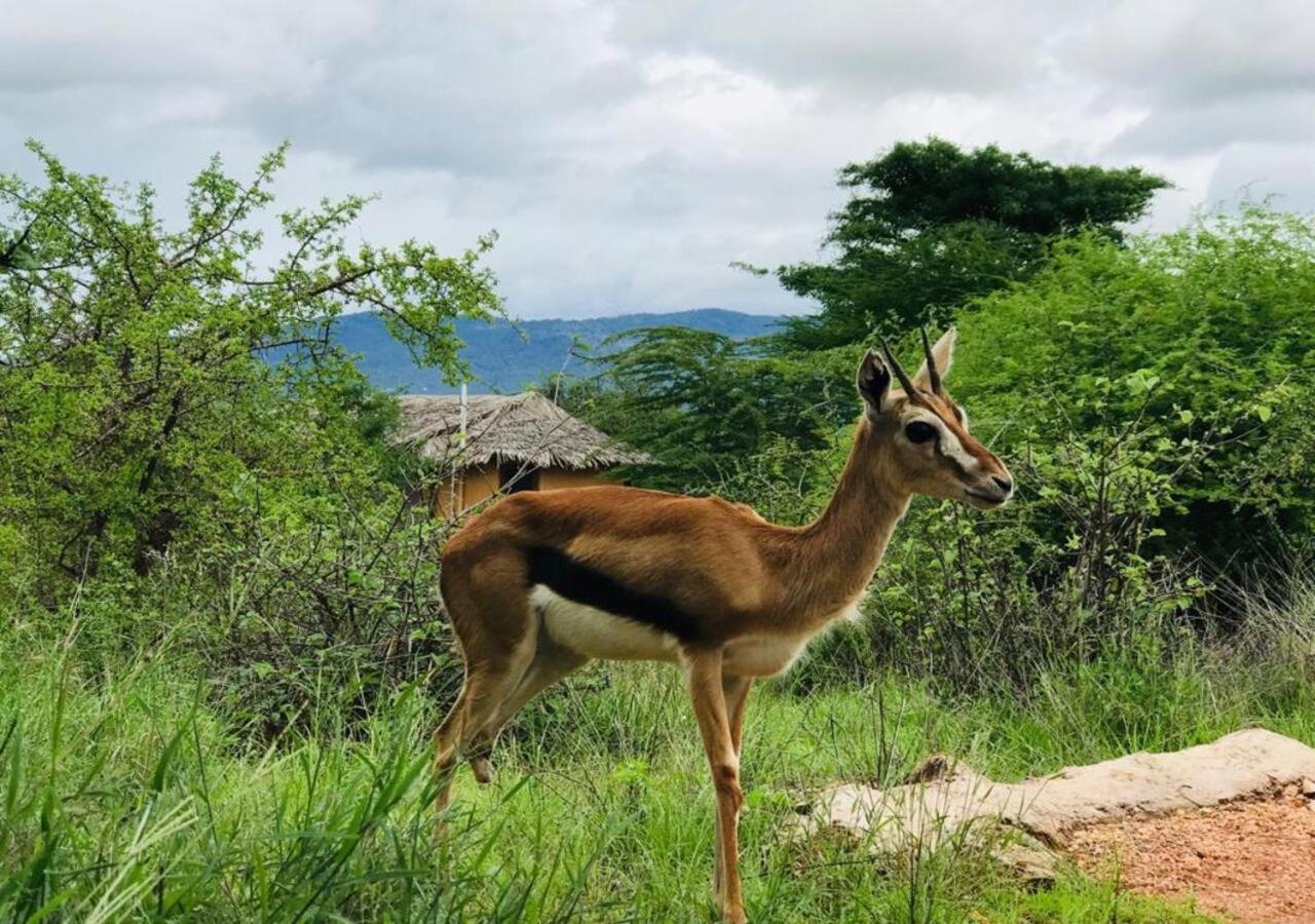 Oldonyo Orok Lodge Kajiado Bagian luar foto
