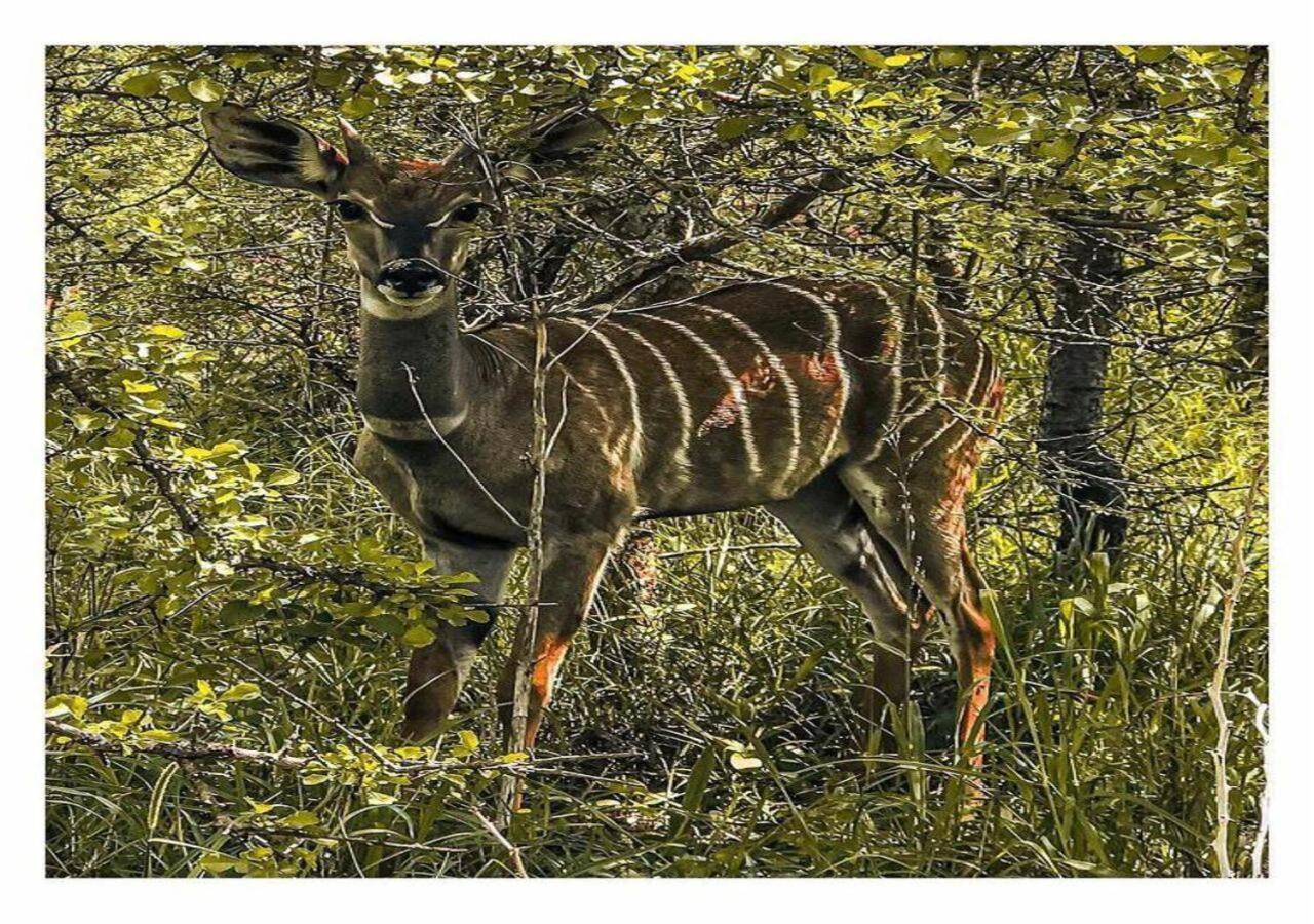 Oldonyo Orok Lodge Kajiado Bagian luar foto